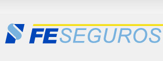 FE